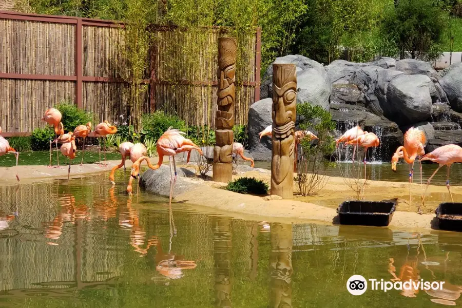 エセックス・タートル・バック動物園