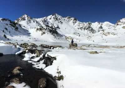 Ordino