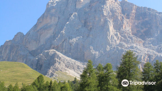 Parco Naturale Paneveggio Pale di San Martino