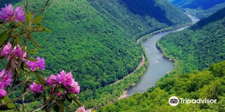 Kanawha State Forest