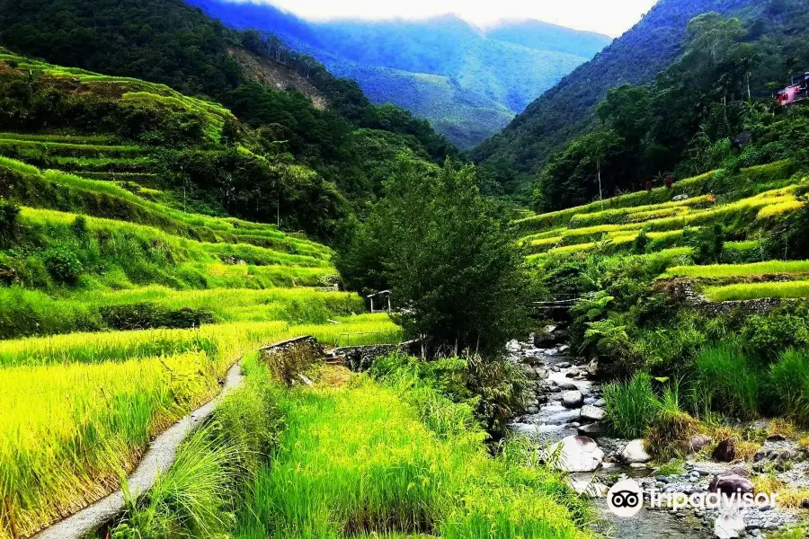 Hapao Rice Terraces