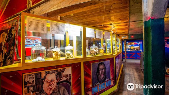 Uranus Sideshow Museum