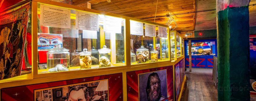 Uranus Sideshow Museum