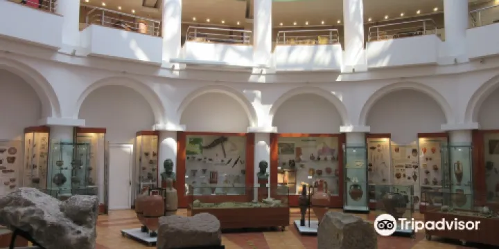 "Paul Păltânea" History Museum of Galați