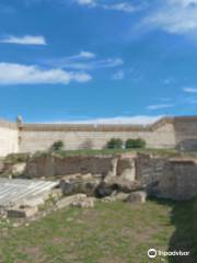 Mosaici Anfiteatro Romano