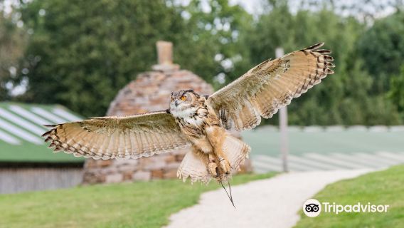 National Centre for Birds of Prey (NCBP)