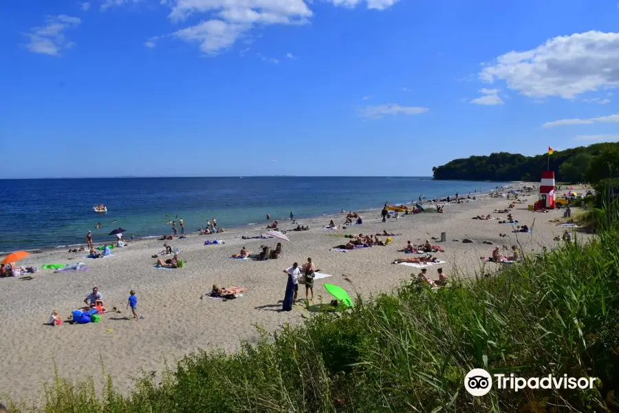 Moesgård Beach