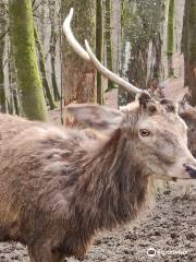 Parc Animalier Fougerolles Saint-Valbert