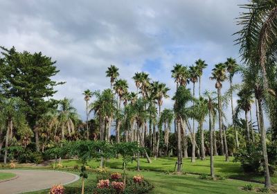 Aoshima Subtropical Botanical Garden