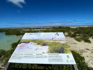 Flamingo Pond Lookout