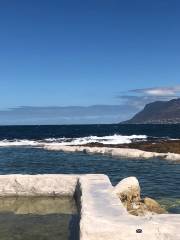 Woolley's Tidal Pool