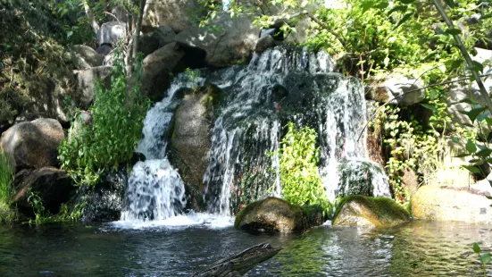 Morrison-Knudsen Nature Center