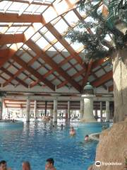 Terme Ilidza