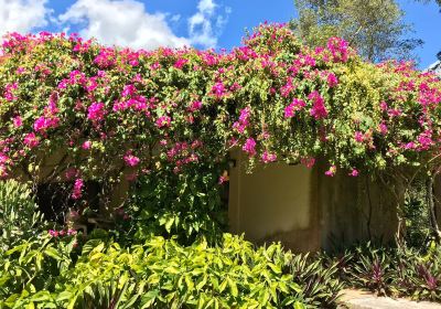 Guam Sankyo Garden