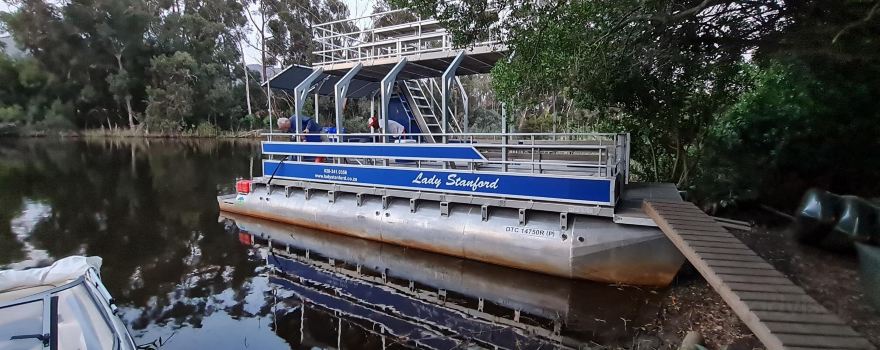 Lady Stanford River Cruise