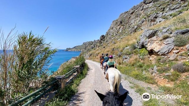 Plakias Horse Riding Center