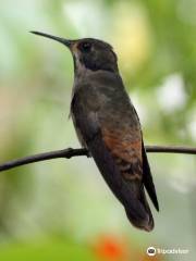 Fundación de Conservación Jocotoco