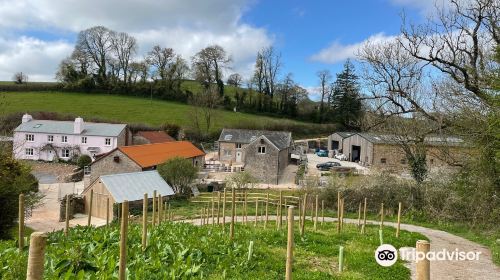 Sandridge Barton, the home of Sharpham Wine