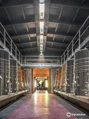 SoloContigo Winery