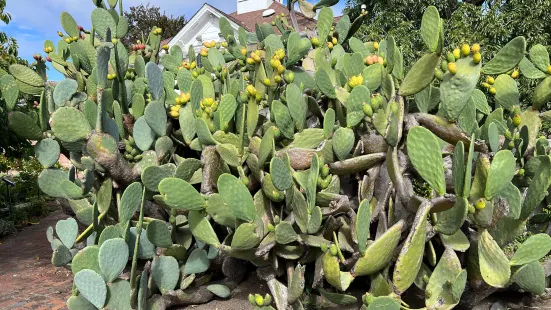 Luther Burbank Home & Gardens