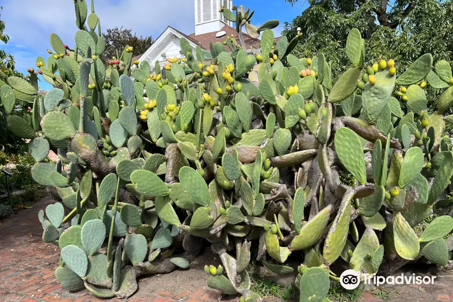 Luther Burbank Home and Gardens