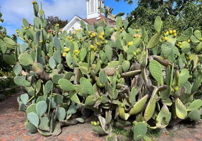 Luther Burbank Home and Gardens