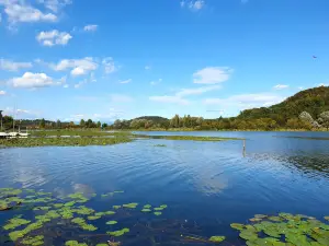 Lago di Fimon (Panorama)