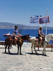 Harriets Hydra Horses