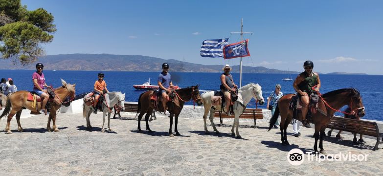 Harriets Hydra Horses