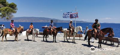 Harriets Hydra Horses