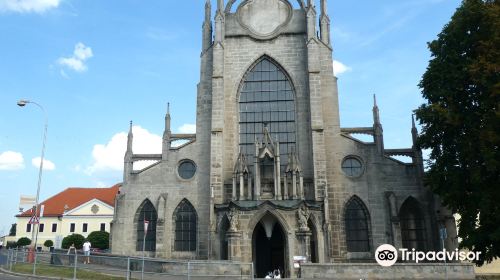 Cathedral of Assumption of Our Lady and St. John the Baptist