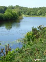 Mere Sands Wood Nature Reserve