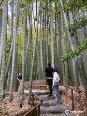 Kamakura Hiking Trails