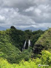 威魯亞河州立公園