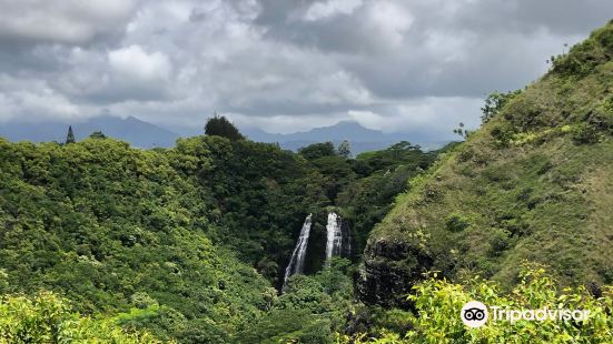 Wailua River State Park