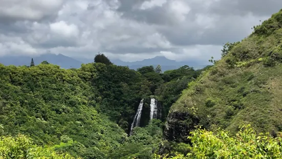 Parco statale fluviale di Wailua