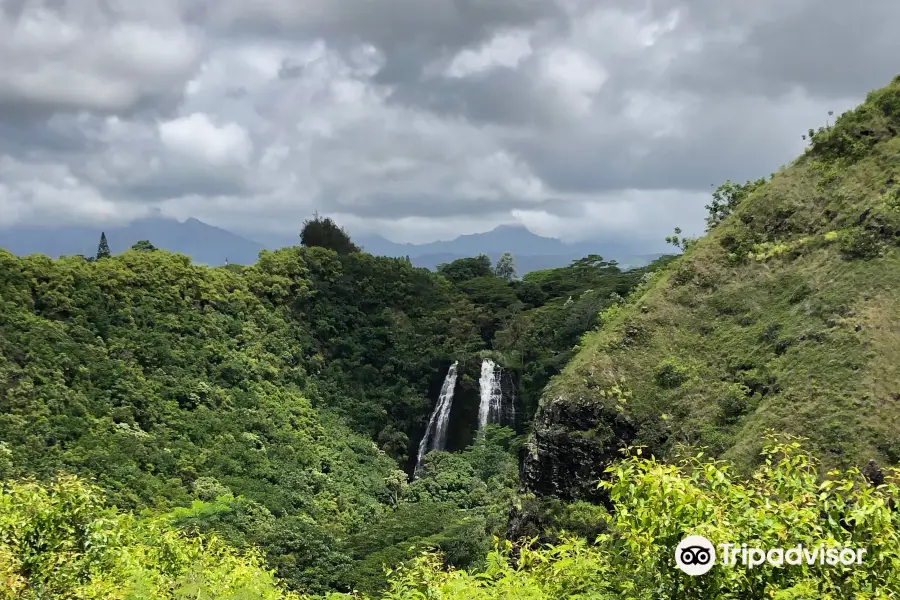 Wailua River State Park