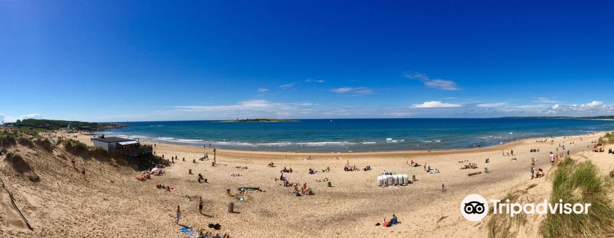 Voli Trieste Halmstad