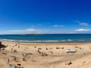 Tylösand