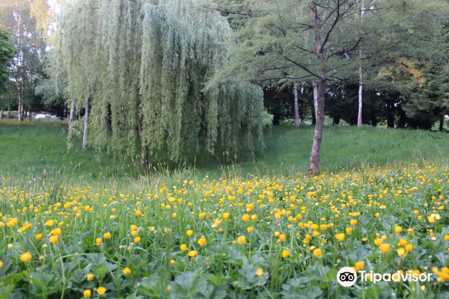 Arboretum de Lisieux