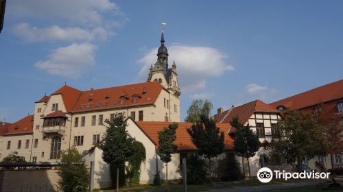 Bernburg Castle and Museum