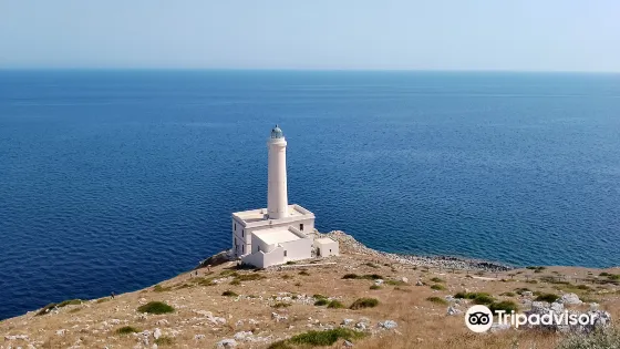 Lighthouse Punta Palascìa