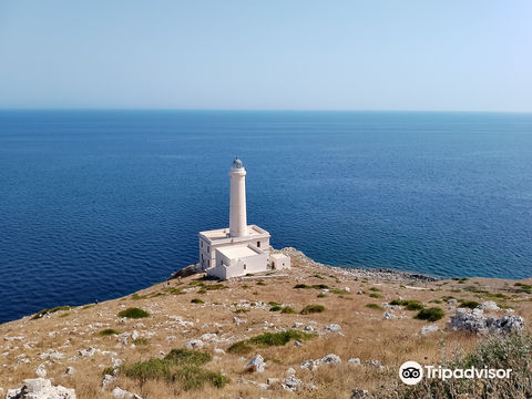 Lighthouse Punta Palascìa