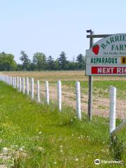 Barrie Hill Farms