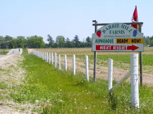 Barrie Hill Farms