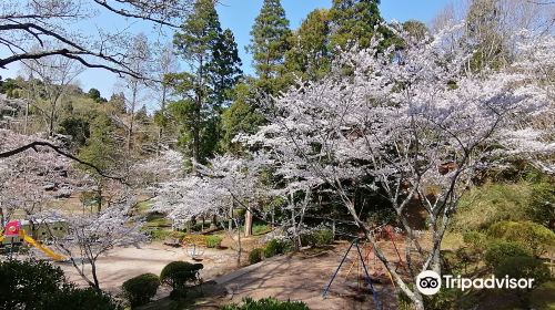 茂原公園