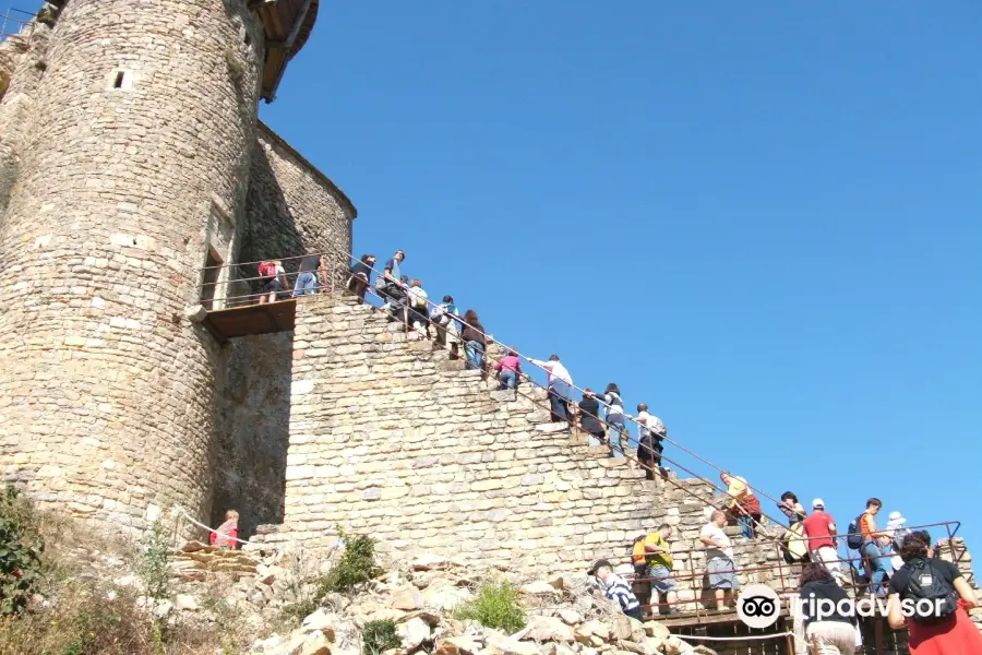 Castle Peyrelade