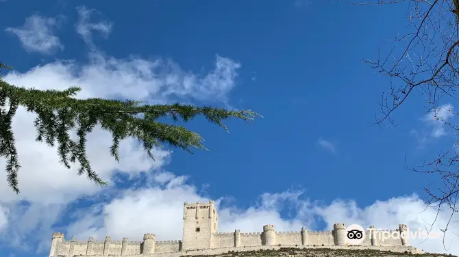 3_Castillo de Penafiel