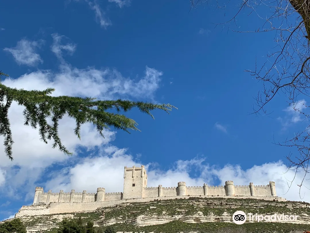 3_Castillo de Penafiel