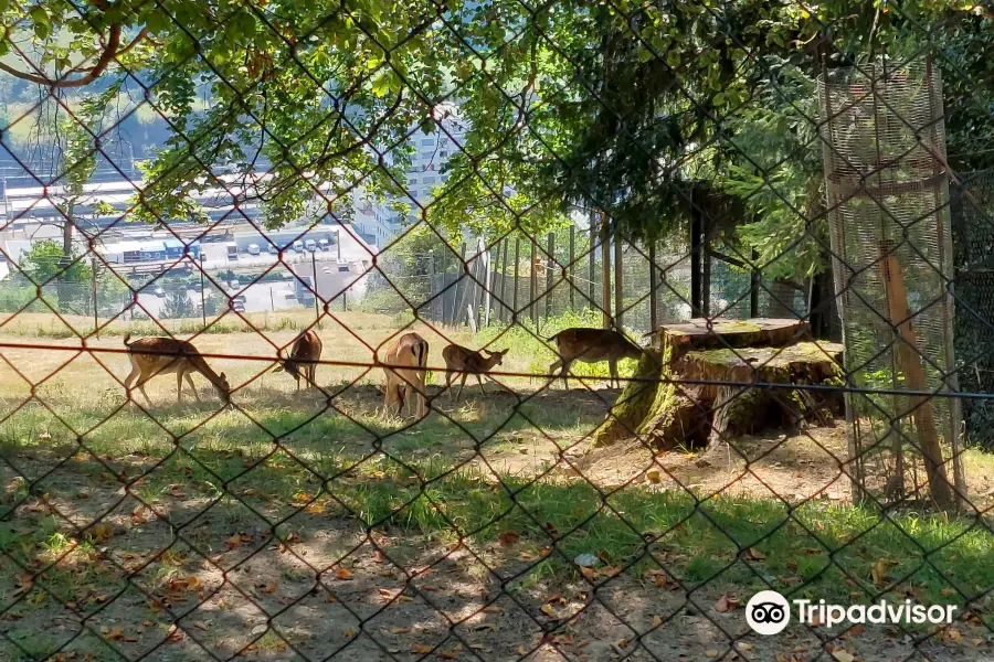 Wildpark Feldkirch